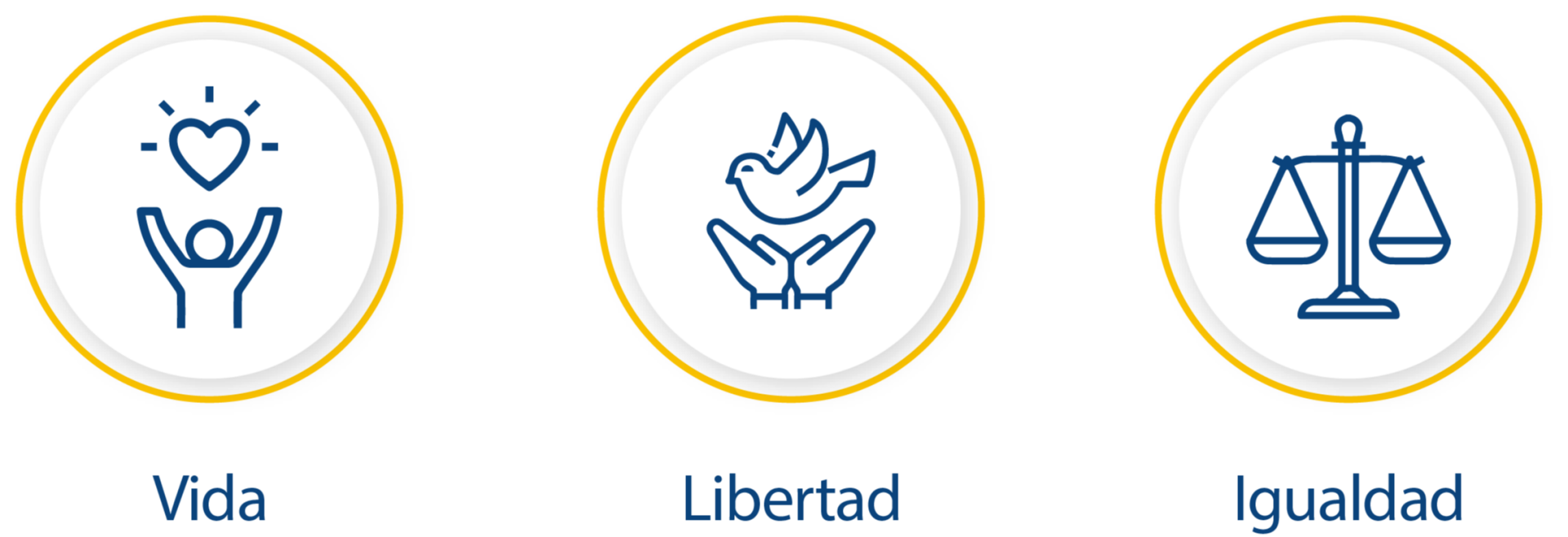 ¿Por qué elegirnos como Institución Educativa?